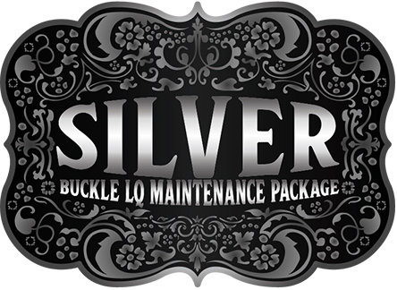 Silver Maintenance Buckle